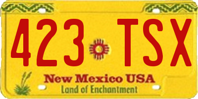 NM license plate 423TSX