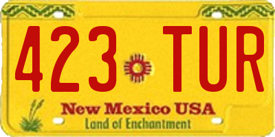 NM license plate 423TUR
