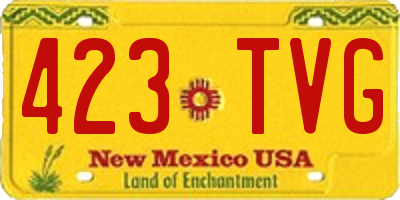 NM license plate 423TVG