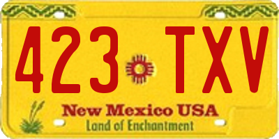 NM license plate 423TXV