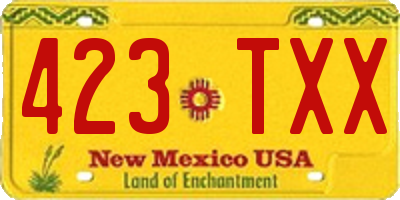 NM license plate 423TXX