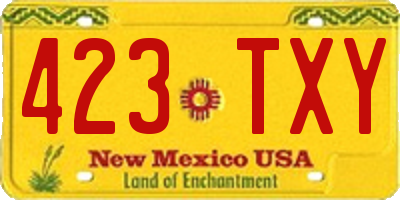 NM license plate 423TXY