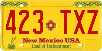 NM license plate 423TXZ