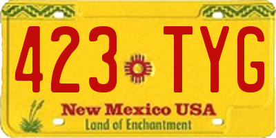 NM license plate 423TYG
