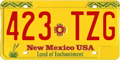 NM license plate 423TZG