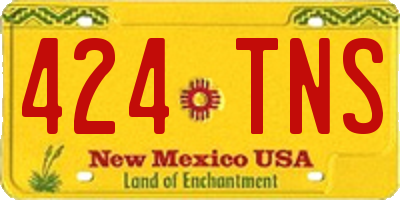 NM license plate 424TNS