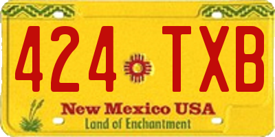 NM license plate 424TXB