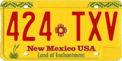 NM license plate 424TXV