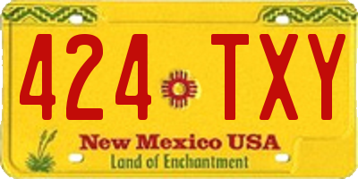 NM license plate 424TXY