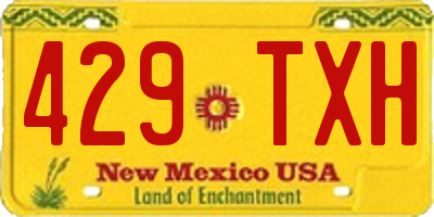 NM license plate 429TXH