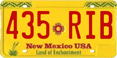 NM license plate 435RIB