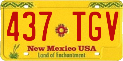 NM license plate 437TGV
