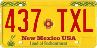 NM license plate 437TXL