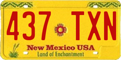 NM license plate 437TXN