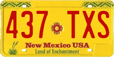 NM license plate 437TXS