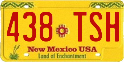 NM license plate 438TSH