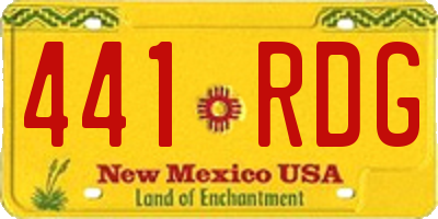 NM license plate 441RDG