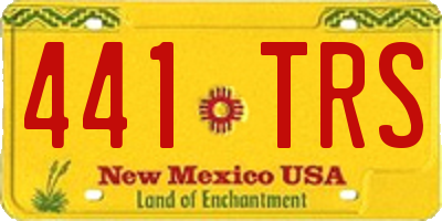 NM license plate 441TRS