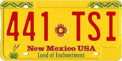 NM license plate 441TSI
