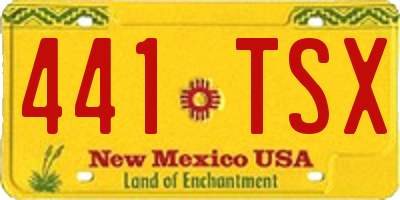 NM license plate 441TSX
