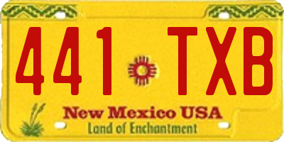 NM license plate 441TXB
