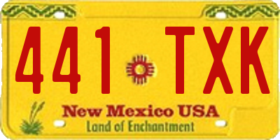 NM license plate 441TXK