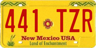 NM license plate 441TZR