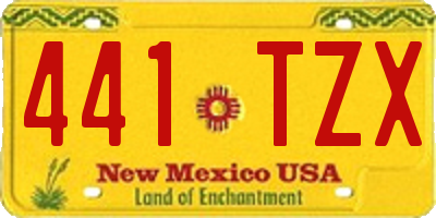 NM license plate 441TZX