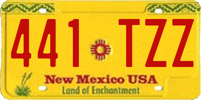 NM license plate 441TZZ