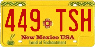 NM license plate 449TSH