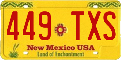 NM license plate 449TXS