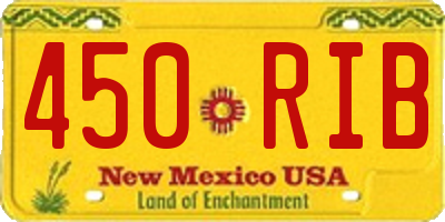 NM license plate 450RIB