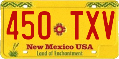 NM license plate 450TXV