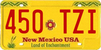 NM license plate 450TZI