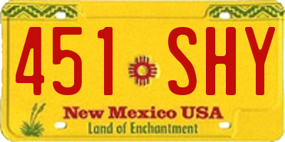 NM license plate 451SHY