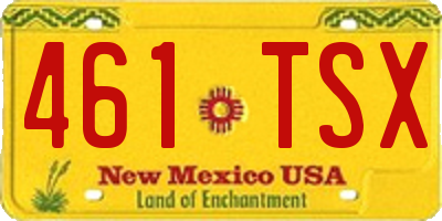 NM license plate 461TSX