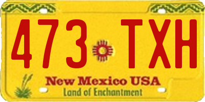 NM license plate 473TXH