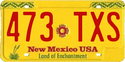 NM license plate 473TXS