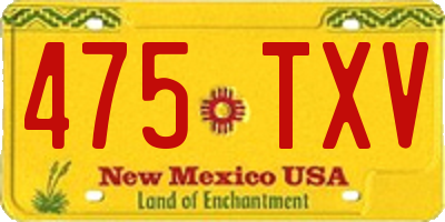 NM license plate 475TXV
