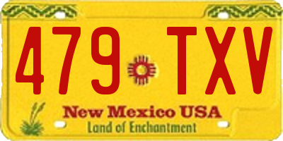 NM license plate 479TXV