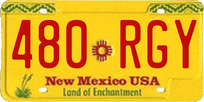 NM license plate 480RGY