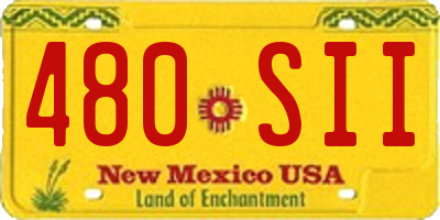 NM license plate 480SII