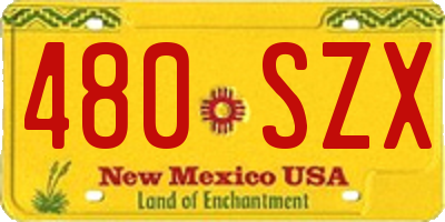 NM license plate 480SZX