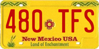 NM license plate 480TFS