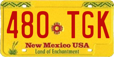 NM license plate 480TGK