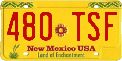 NM license plate 480TSF