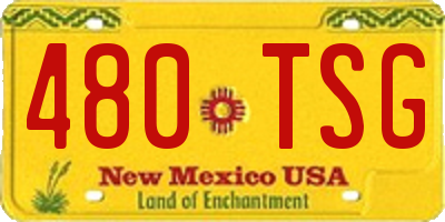 NM license plate 480TSG