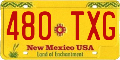 NM license plate 480TXG
