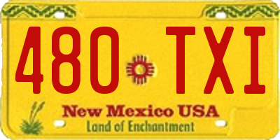NM license plate 480TXI
