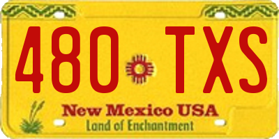 NM license plate 480TXS